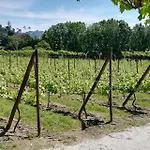 Prázdninový dům My Portugal For - *