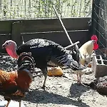 My Portugal For - Prázdninový dům