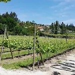 My Portugal For - Lousada