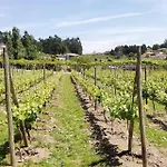 My Portugal For - *