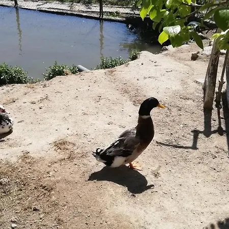 My Portugal For - Semesterbostad *