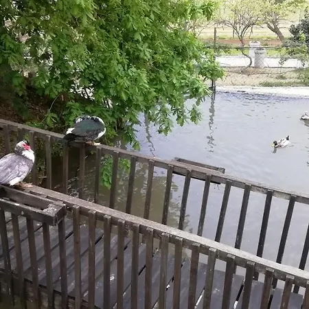 My Portugal For - Semesterbostad