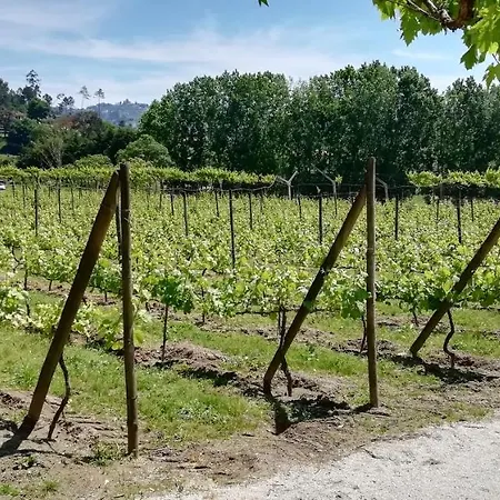 Semesterbostad My Portugal For - *