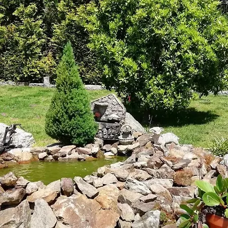 My Portugal For - Semesterbostad Lousada