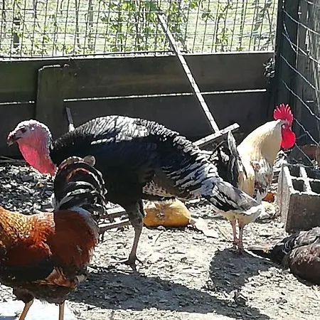 My Portugal For - Semesterbostad