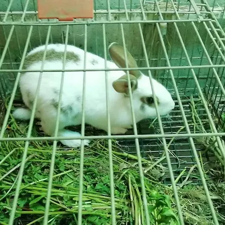 My Portugal For - Semesterbostad Lousada