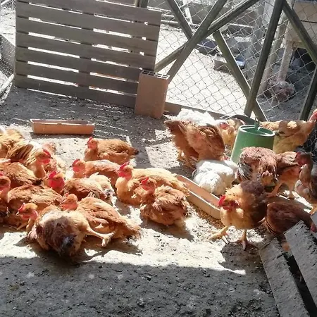 Holiday home My Portugal For - *