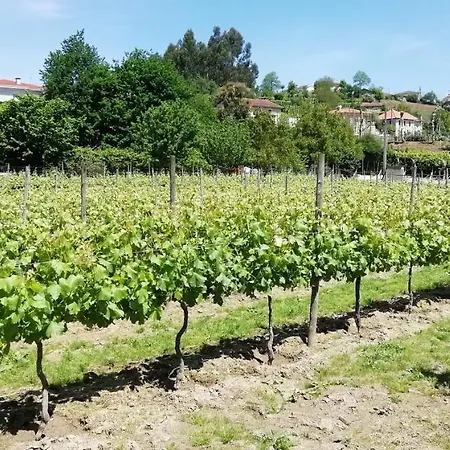 My Portugal For - Semesterbostad *