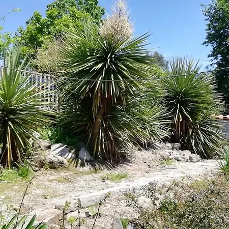 Holiday home My Portugal For - *