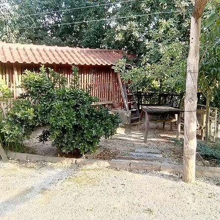 My Portugal For - Dom wakacyjny *