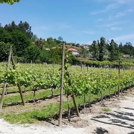 My Portugal For - Lousada