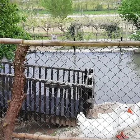 My Portugal For - Semesterbostad