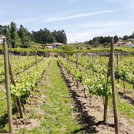 My Portugal For - *