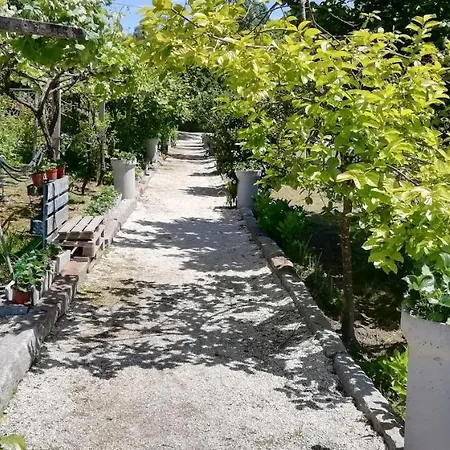 別荘 My Portugal For - *