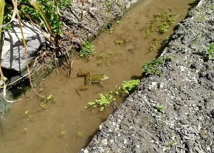 My Portugal For - Tatil Evi Lousada