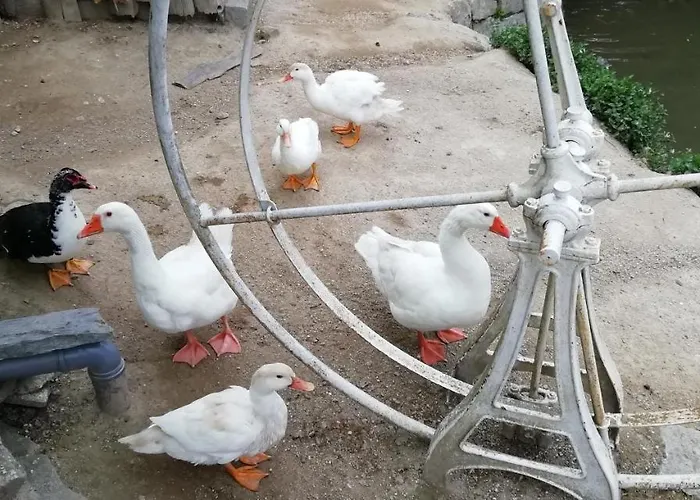 My Portugal For - 別荘 ロウザダ