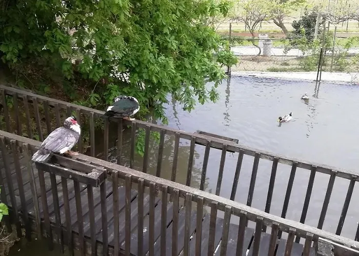 My Portugal For - 別荘