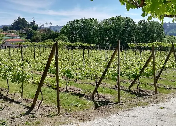 بيت للعطل My Portugal For - *