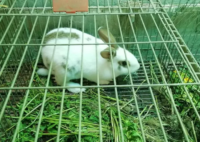 My Portugal For - بيت للعطل لوسادا