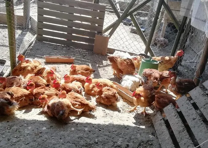 Tatil Evi My Portugal For - *