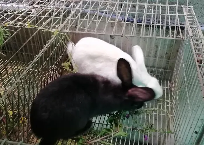 My Portugal For - 別荘 ロウザダ