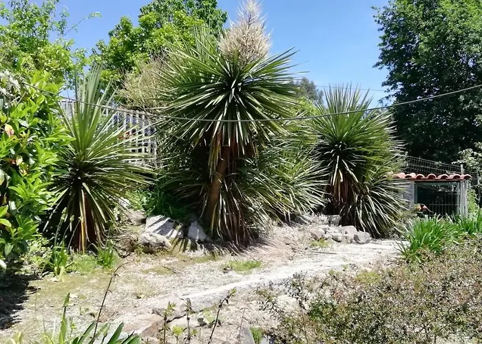 別荘 My Portugal For - *