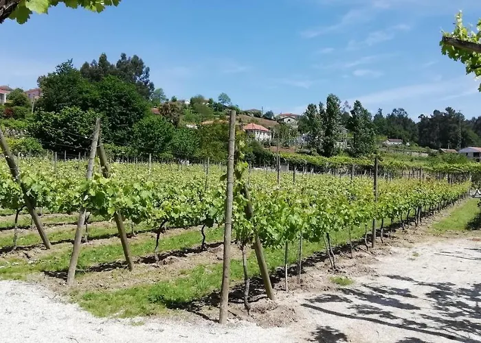 My Portugal For - Lousada