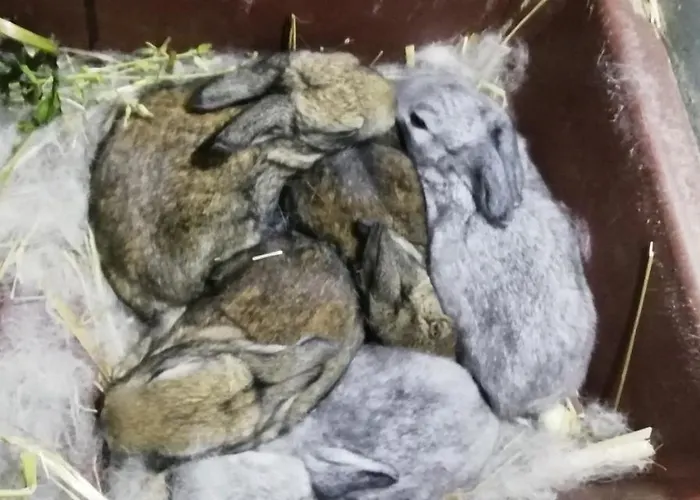 Feriehus My Portugal For - Lousada