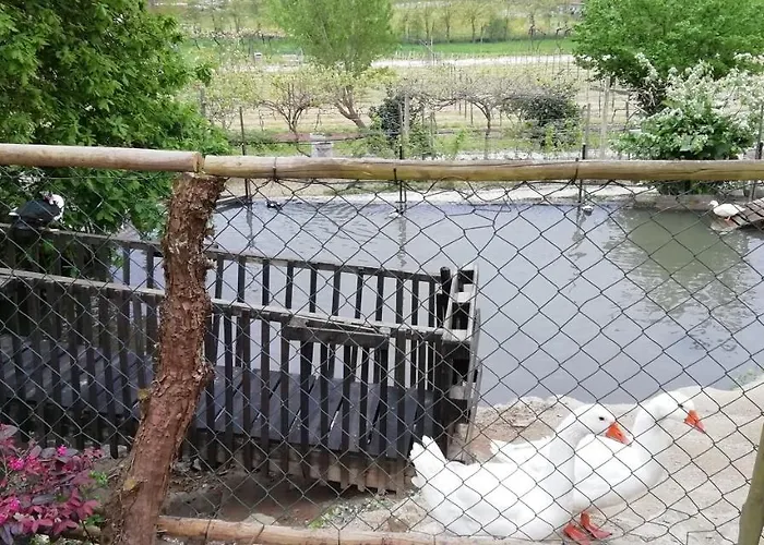 My Portugal For - 別荘