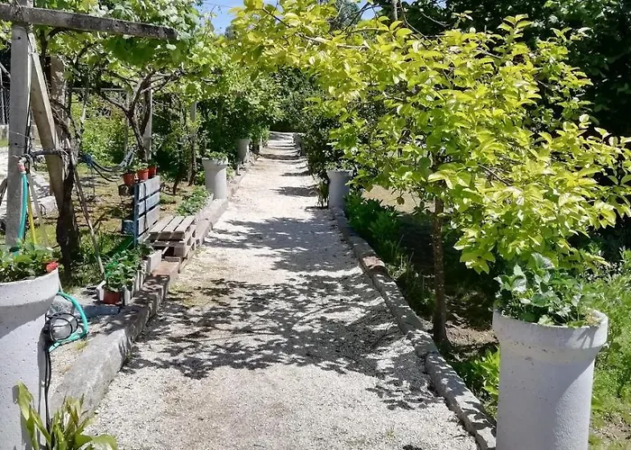 Feriehus My Portugal For - *